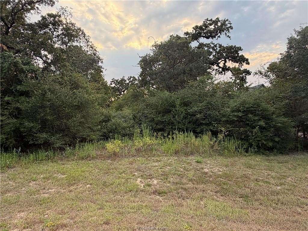 1.18 Acres of Residential Land for Sale in Iola, Texas
