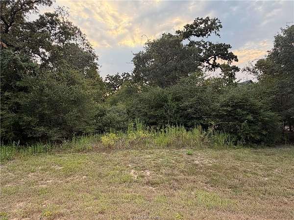 1.18 Acres of Residential Land for Sale in Iola, Texas