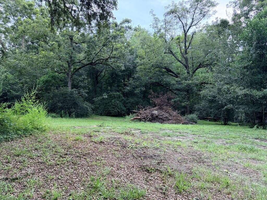 0.43 Acres of Residential Land for Sale in Geneva, Alabama