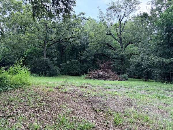 0.43 Acres of Residential Land for Sale in Geneva, Alabama