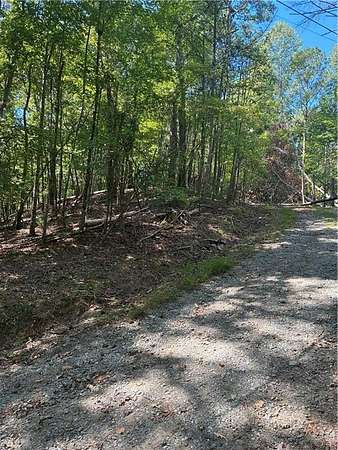 0.74 Acres of Residential Land for Sale in Ellijay, Georgia