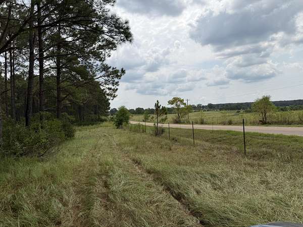 20 Acres of Land for Sale in Lumberton, Mississippi