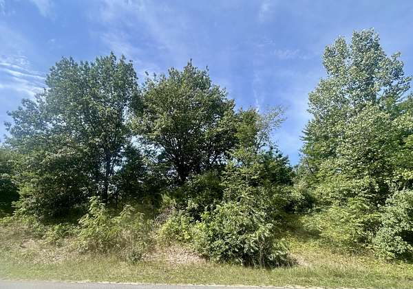 0.57 Acres of Residential Land for Sale in Holland, Michigan