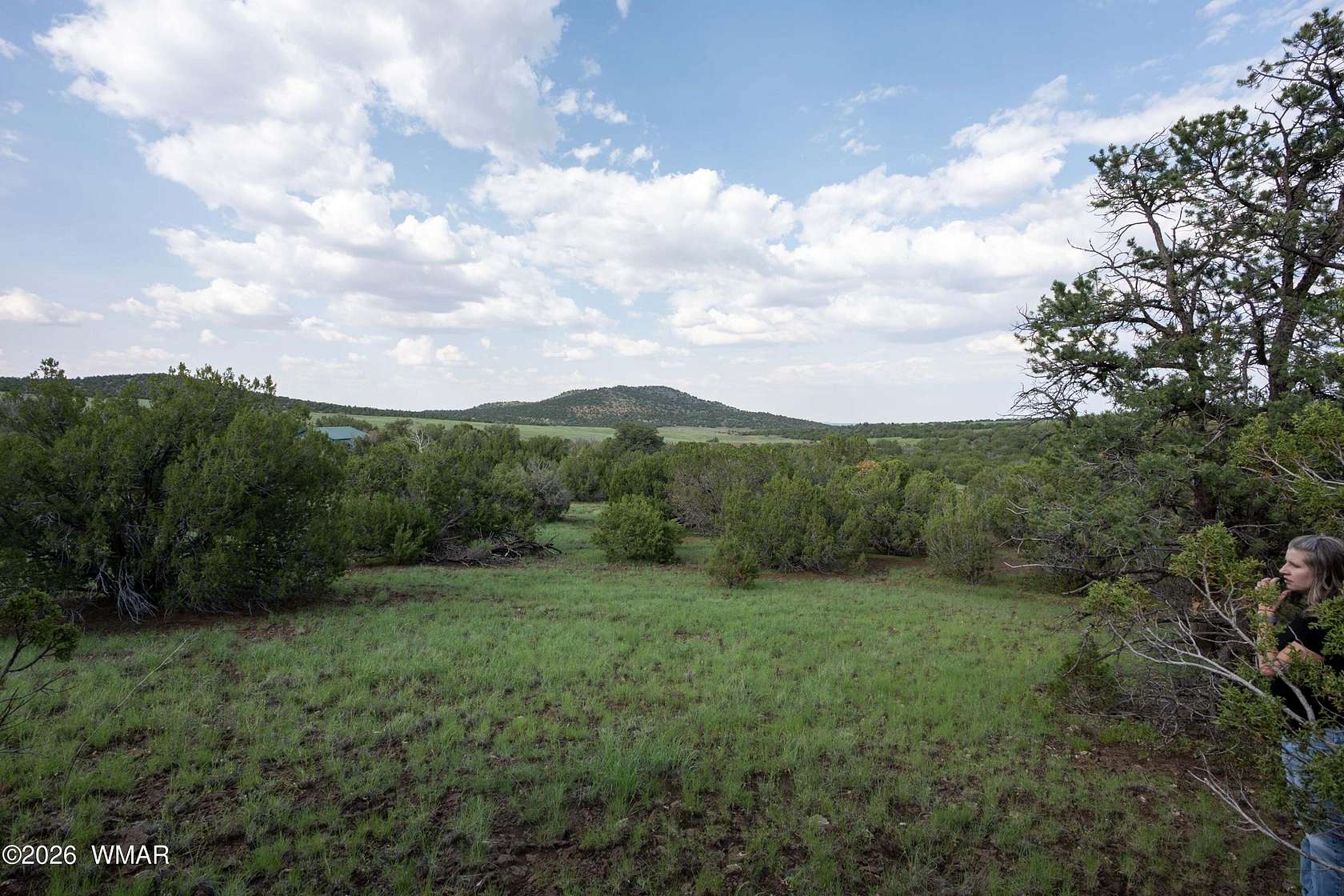 2.88 Acres of Residential Land for Sale in Vernon, Arizona