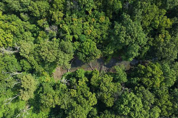 13.6 Acres of Recreational Land for Sale in De Valls Bluff, Arkansas