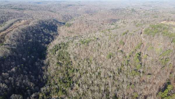 141 Acres of Recreational Land for Sale in Harriet, Arkansas