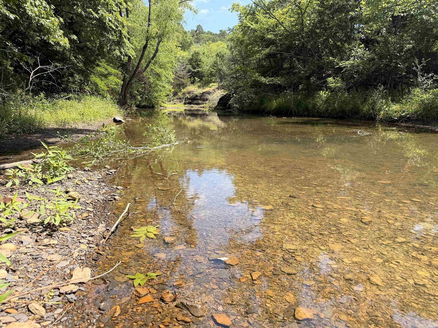 50 Acres of Recreational Land for Sale in Booneville, Arkansas