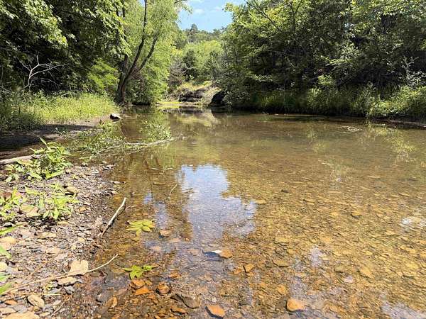 50 Acres of Recreational Land for Sale in Booneville, Arkansas