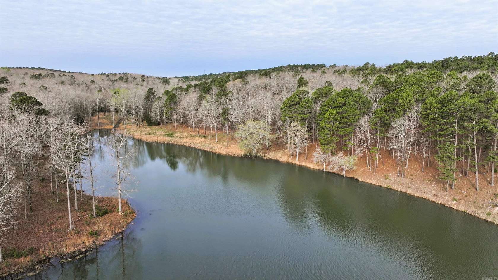 87.9 Acres of Recreational & Residential Land for Sale in Bigelow, Arkansas