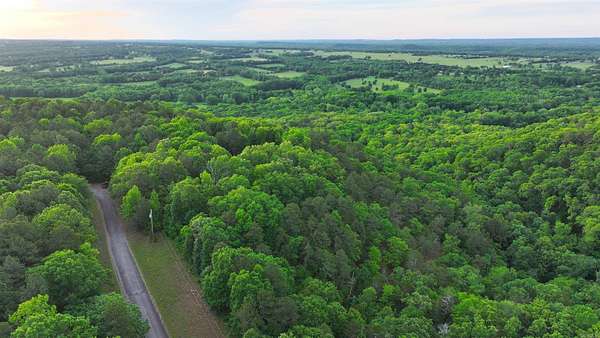 47.2 Acres of Recreational Land for Sale in Greenbrier, Arkansas