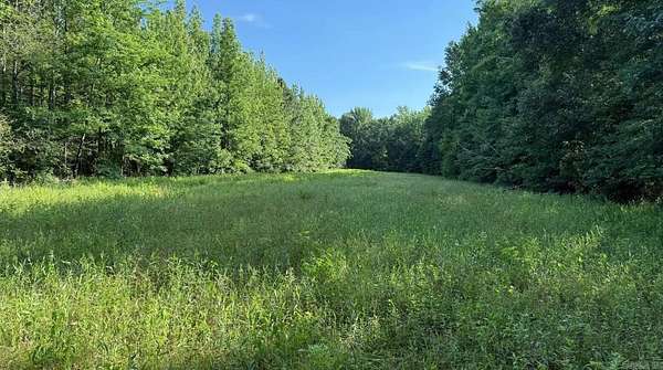 38.6 Acres of Recreational & Residential Land for Sale in Jacksonville, Arkansas