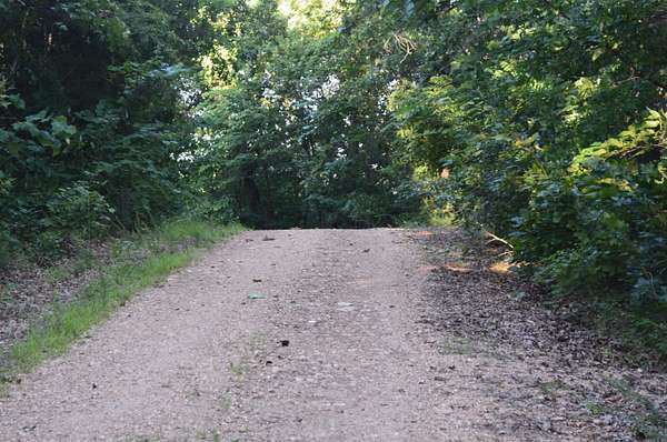 40 Acres of Land for Sale in Harriet, Arkansas