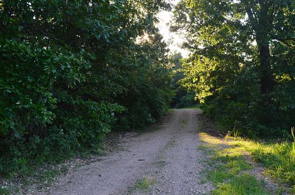 100 Acres of Land for Sale in Harriet, Arkansas