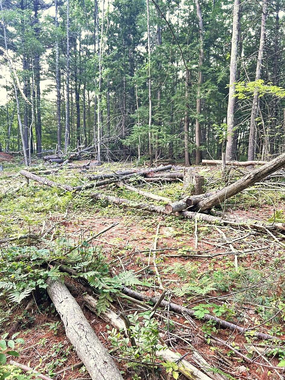 0.96 Acres of Residential Land for Sale in Biddeford, Maine