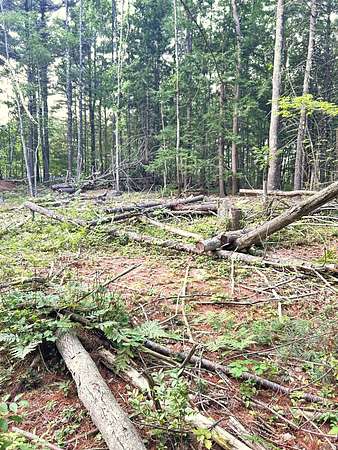 0.96 Acres of Residential Land for Sale in Biddeford, Maine