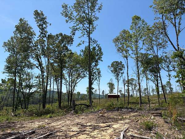 8 Acres of Residential Land for Sale in Broomtown, Alabama