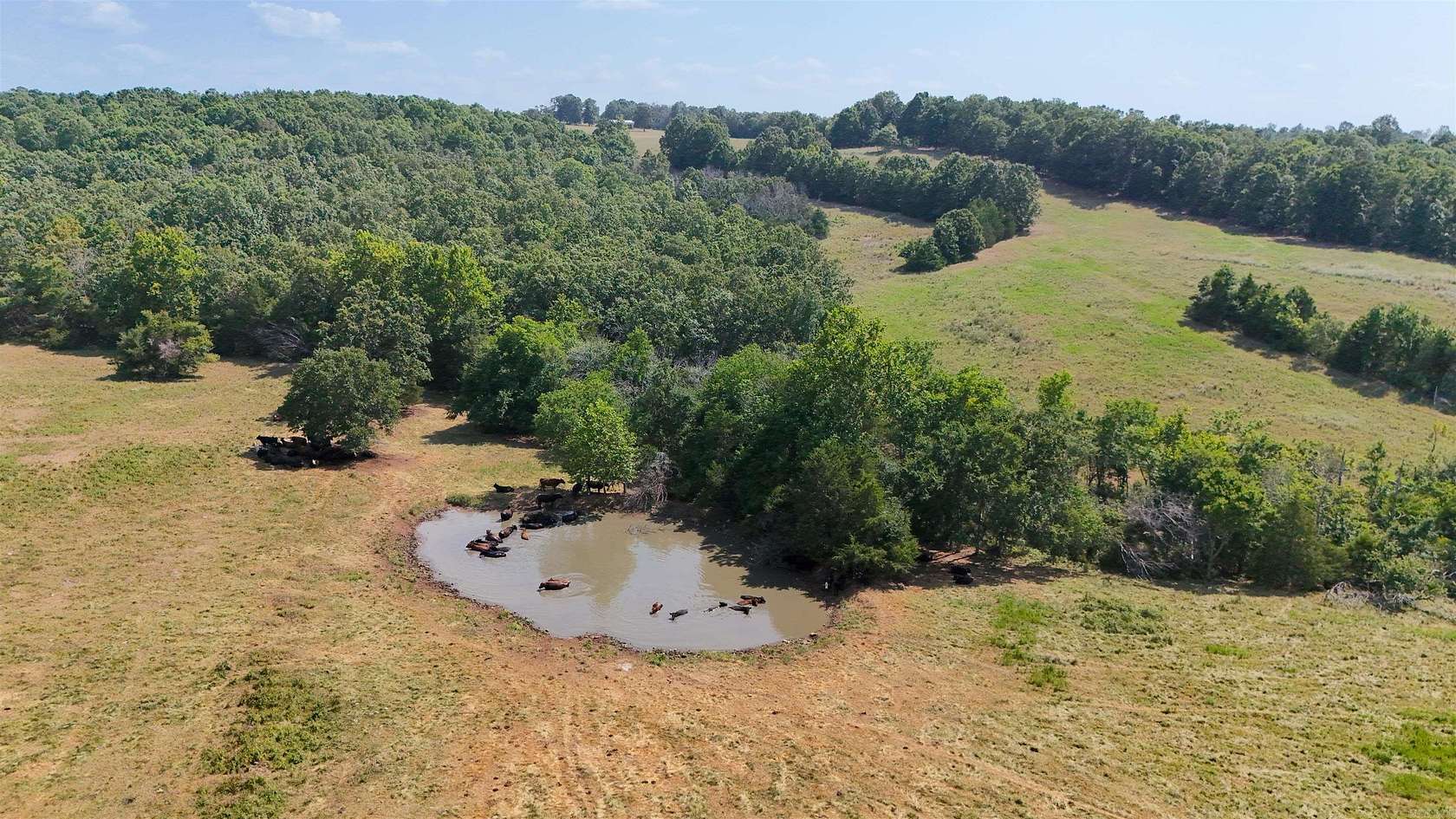 160 Acres of Land for Sale in Ash Flat, Arkansas