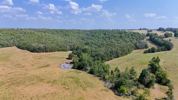 160 Acres of Land for Sale in Ash Flat, Arkansas