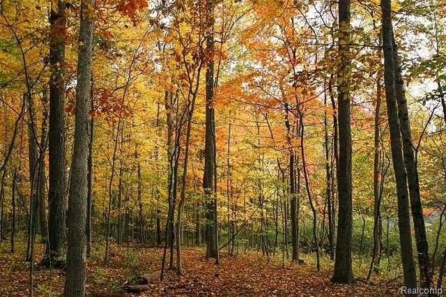 20 Acres of Recreational & Residential Land for Sale in Webster Township, Michigan