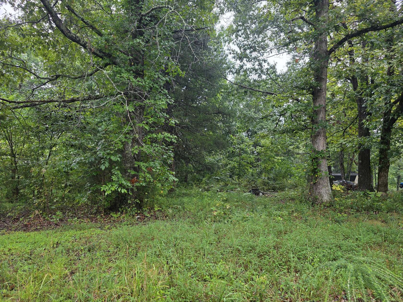 4.62 Acres of Residential Land for Sale in Charlotte, Tennessee