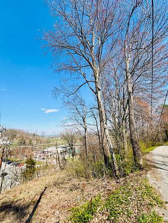 0.25 Acres of Residential Land for Sale in Tazewell, Tennessee