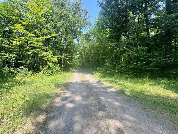 80 Acres of Recreational & Residential Land for Sale in Iron River Township, Michigan