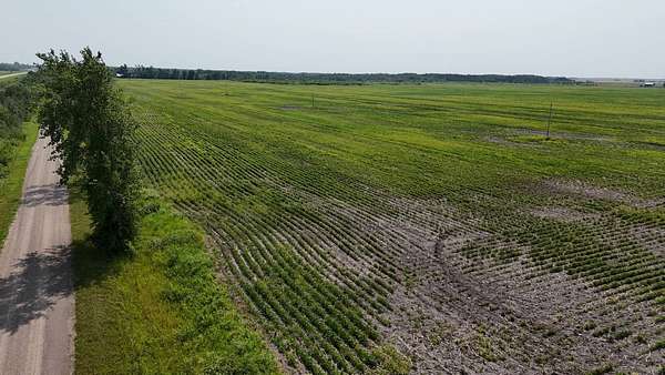 180 Acres of Agricultural Land for Sale in Holt, Minnesota