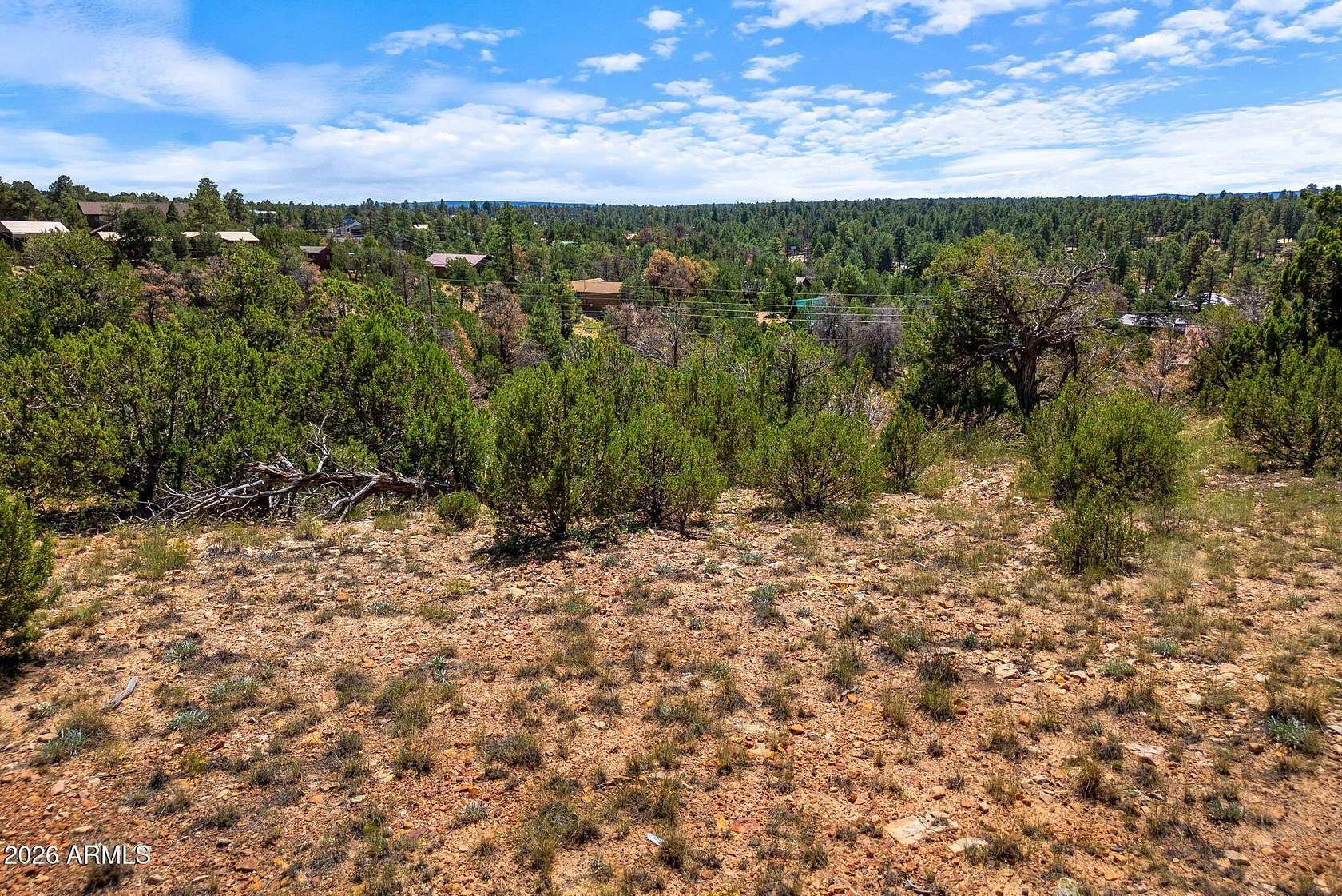 1 Acre of Residential Land for Sale in Overgaard, Arizona