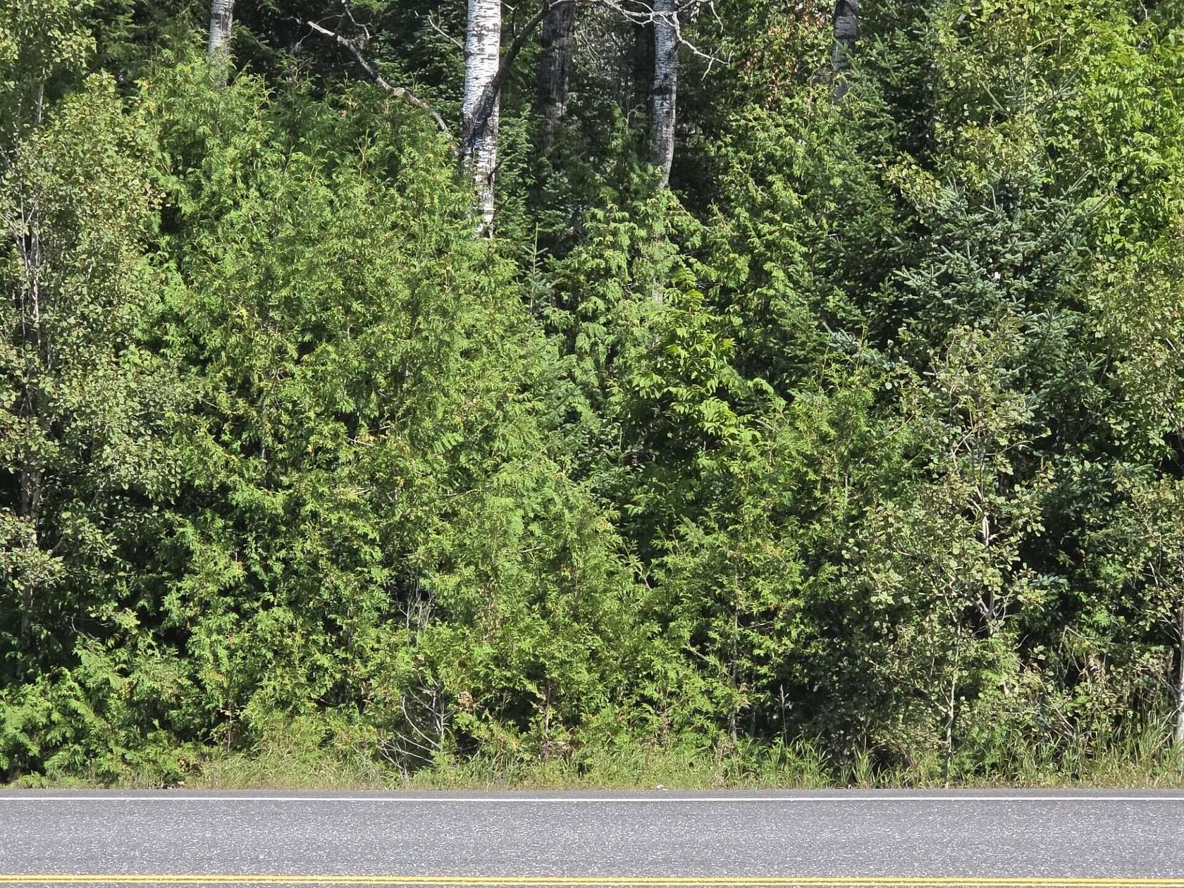 1.9 Acres of Land for Sale in Stockholm, Maine