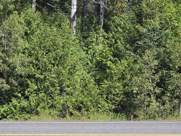 1.9 Acres of Land for Sale in Stockholm, Maine