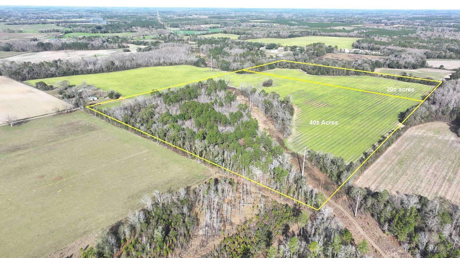 20 Acres of Land for Sale in Cottondale, Florida
