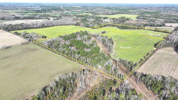 20 Acres of Land for Sale in Cottondale, Florida