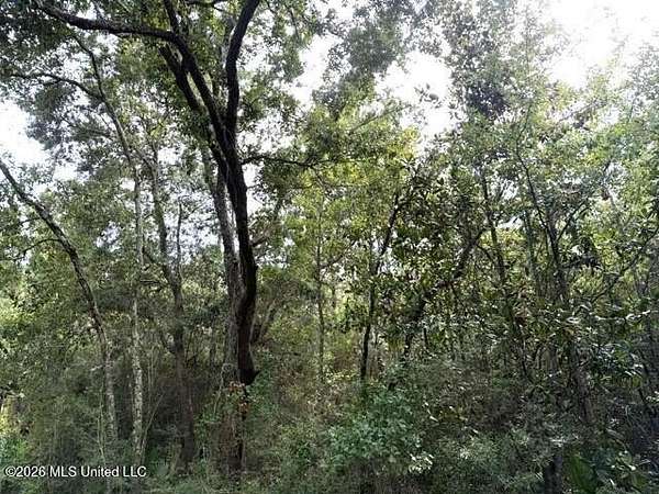 0.55 Acres of Residential Land for Sale in Pass Christian, Mississippi