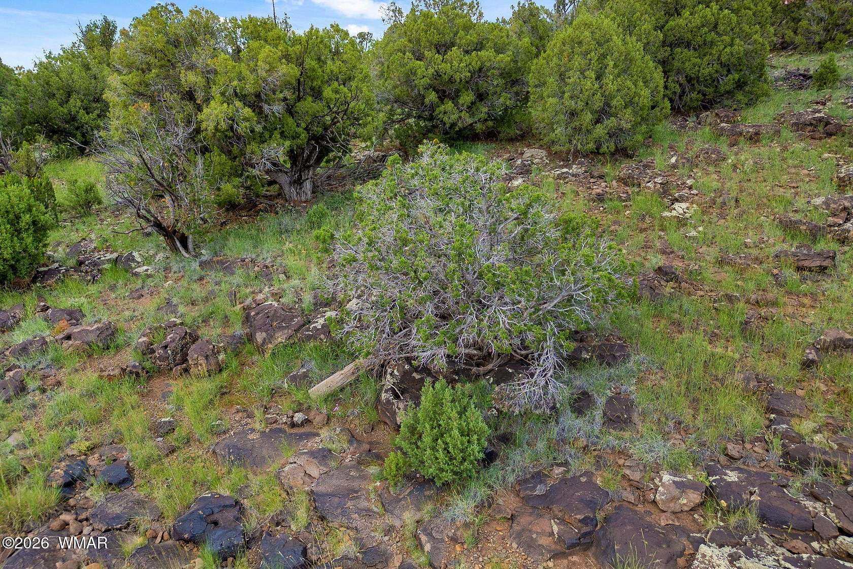 0.5 Acres of Residential Land for Sale in Show Low, Arizona