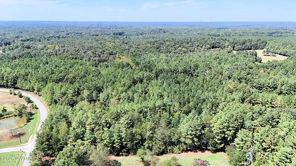 72.4 Acres of Land for Sale in Beech Bluff, Tennessee