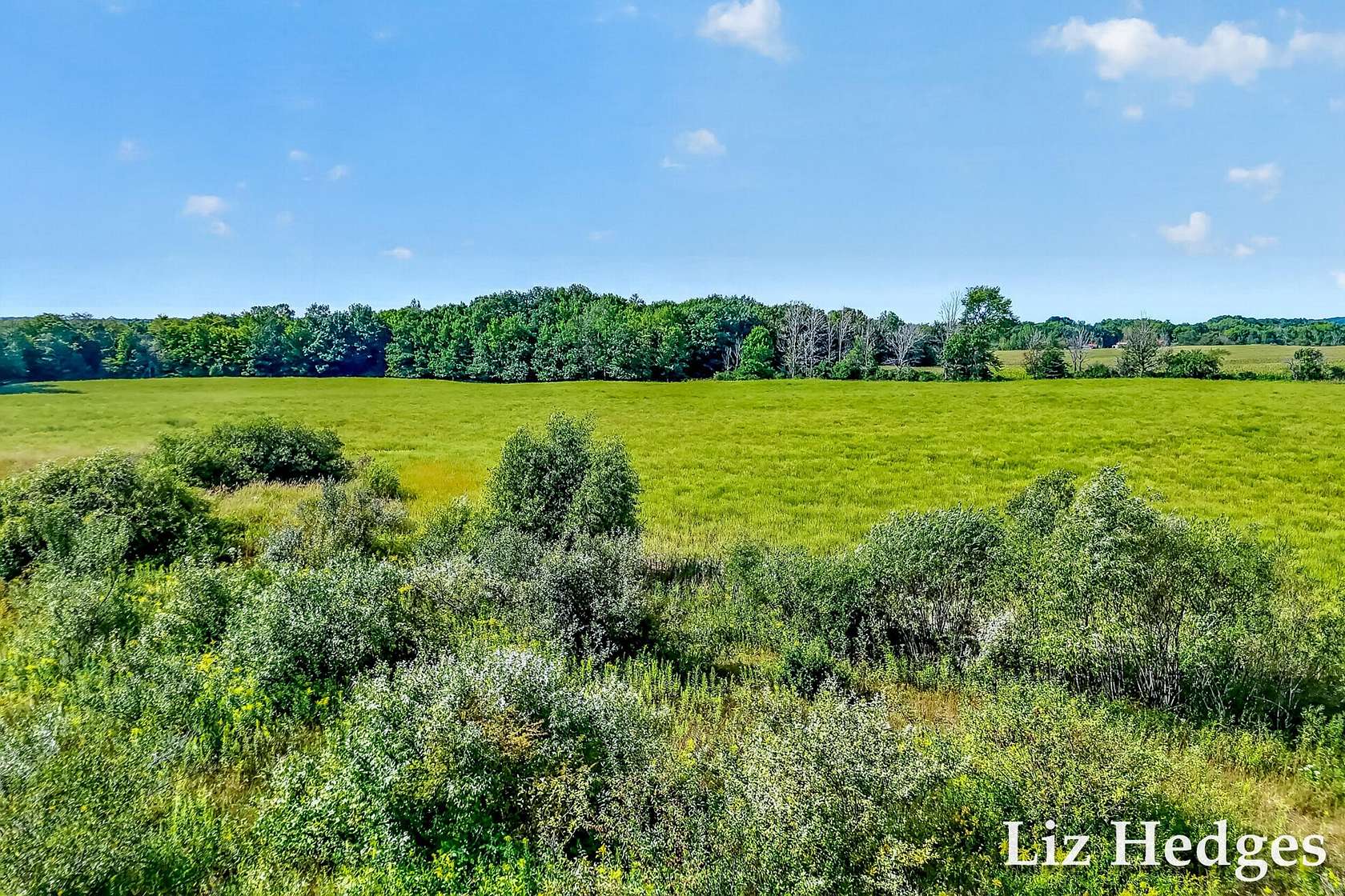 50 Acres of Land for Sale in Montague, Michigan