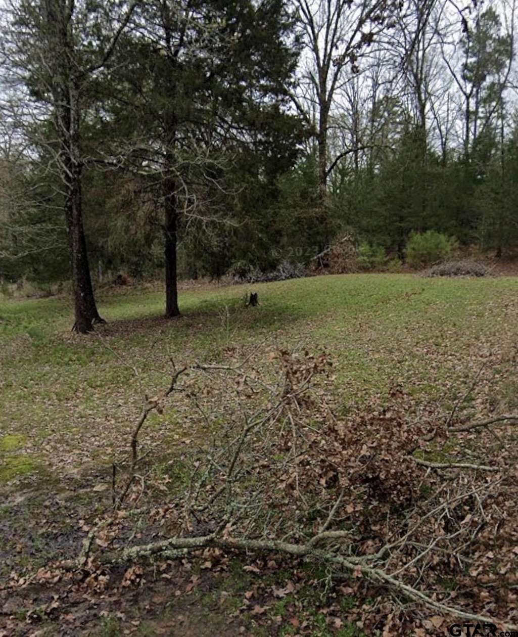 0.81 Acres of Residential Land for Sale in Big Sandy, Texas