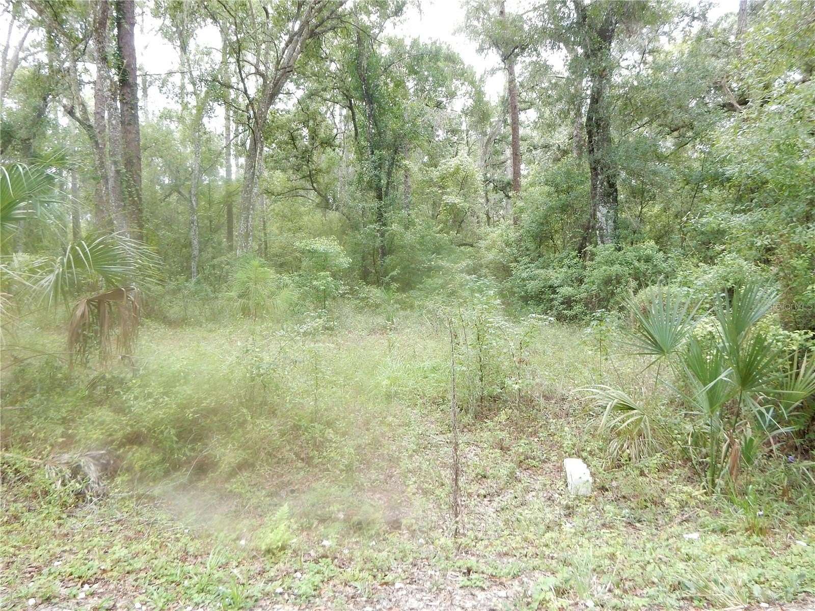 1.8 Acres of Land for Sale in Zephyrhills, Florida