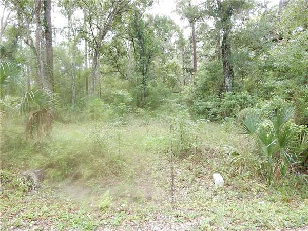 1.8 Acres of Land for Sale in Zephyrhills, Florida