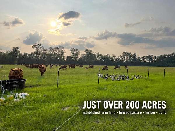 201 Acres of Land for Sale in Walterboro, South Carolina