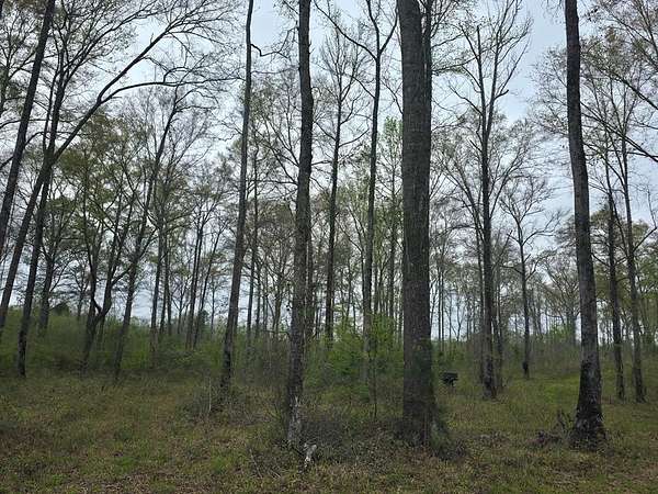 436 Acres of Recreational Land for Sale in Eufaula, Alabama