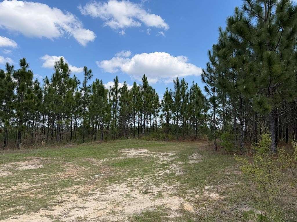 501 Acres of Recreational & Residential Land for Sale in Clayton, Alabama