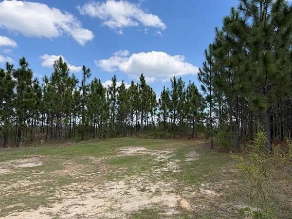 501 Acres of Recreational & Residential Land for Sale in Clayton, Alabama