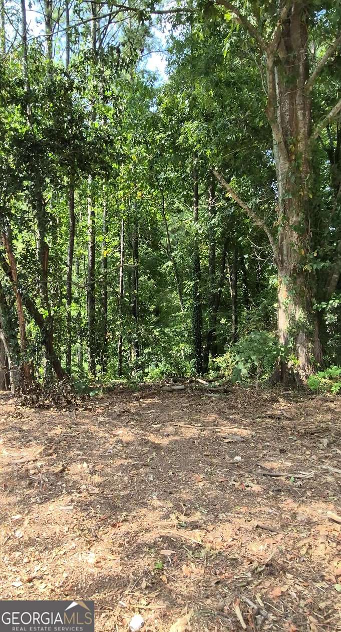 0.25 Acres of Residential Land for Sale in Lithonia, Georgia