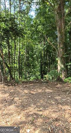0.25 Acres of Residential Land for Sale in Lithonia, Georgia