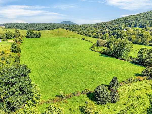 88.6 Acres of Land for Sale in Max Meadows, Virginia