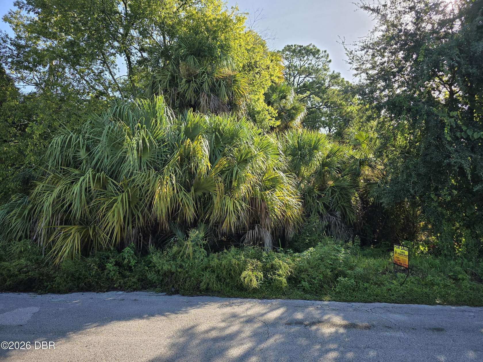 0.21 Acres of Residential Land for Sale in Holly Hill, Florida
