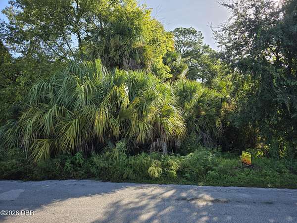 0.21 Acres of Residential Land for Sale in Holly Hill, Florida