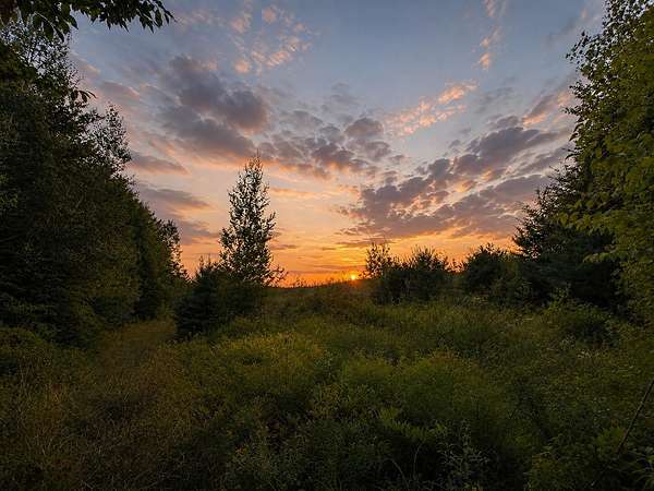 24.8 Acres of Land for Sale in Cornish, Maine