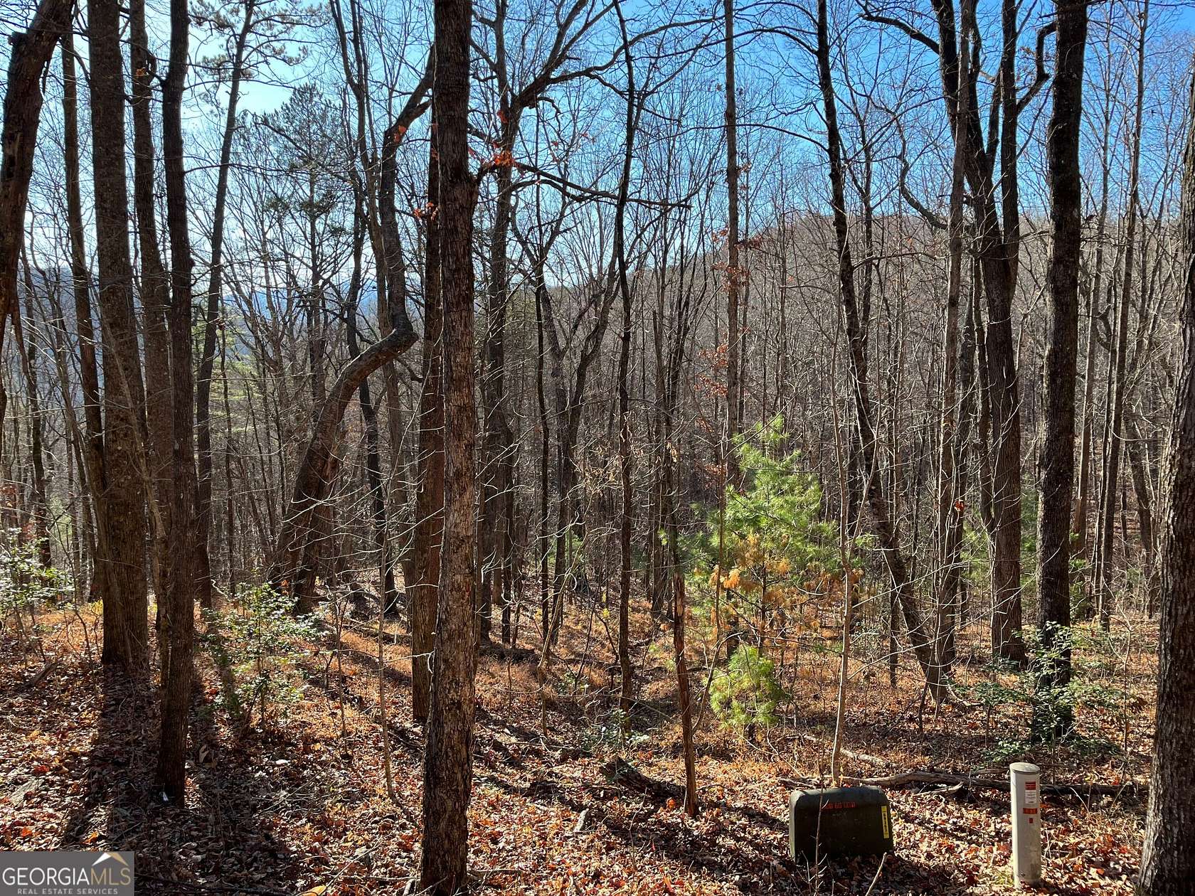 5 Acres of Residential Land for Sale in Clayton, Georgia
